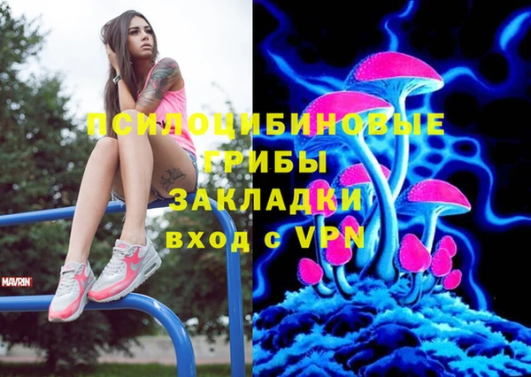 прущие грибы Богородицк
