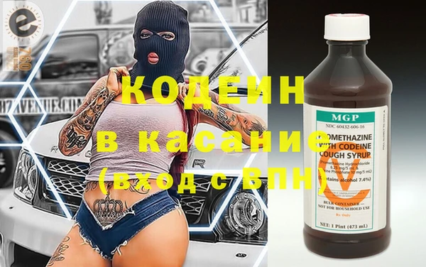 индика Богородск