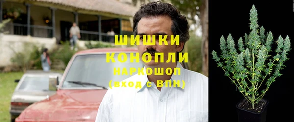 индика Богородск