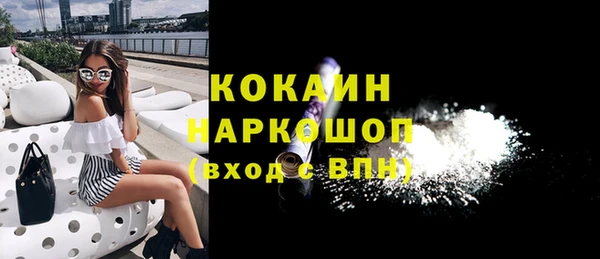 индика Богородск