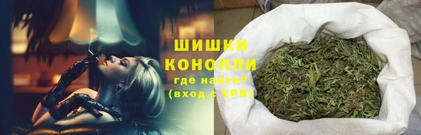 прущие грибы Богородицк