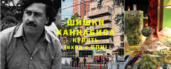 прущие грибы Богородицк