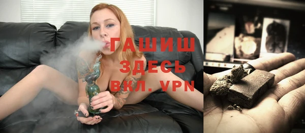 индика Богородск