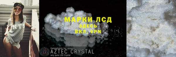 прущие грибы Богородицк