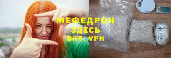 индика Богородск