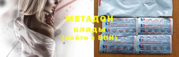индика Богородск