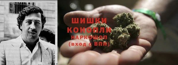 индика Богородск