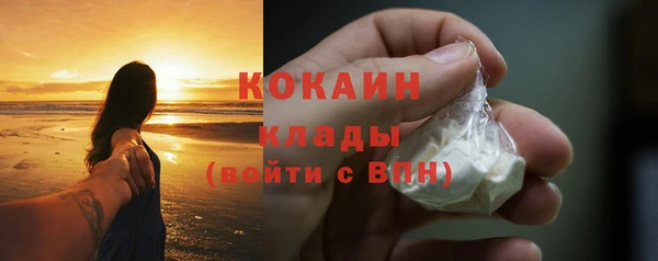 прущие грибы Богородицк