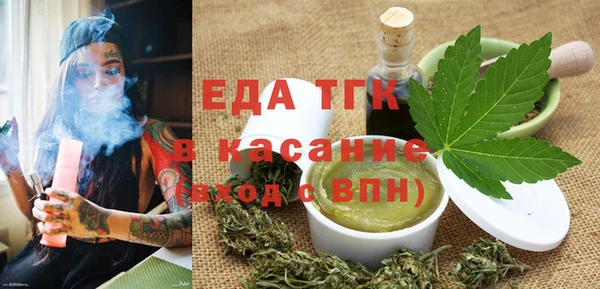 индика Богородск