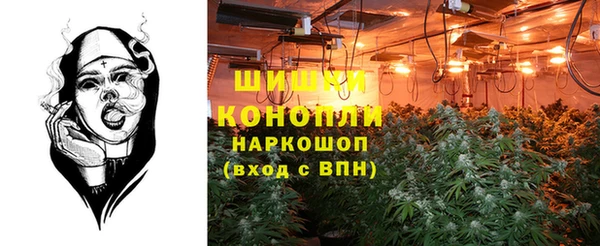 индика Богородск