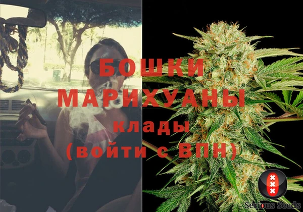 индика Богородск