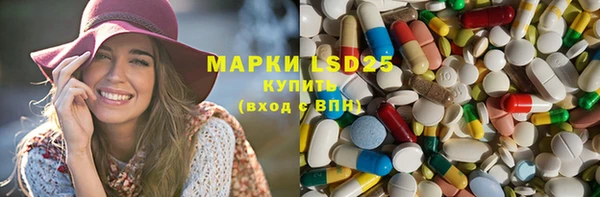 прущие грибы Богородицк
