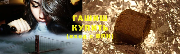индика Богородск