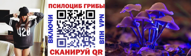 Псилоцибиновые грибы Cubensis  гидра ТОР  Электроугли  цена  